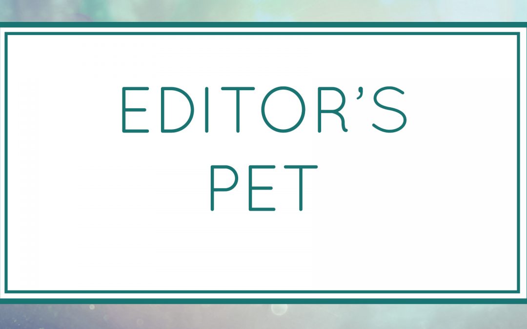 Editor’s Pet (Workshop)